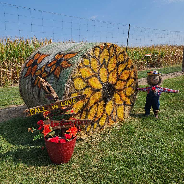 The Appleberry Orchard Hay Bale Contest in Donnellson, Iowa